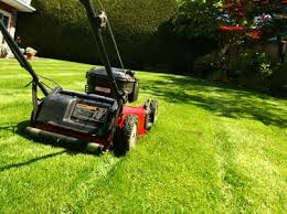 mulching mower_1