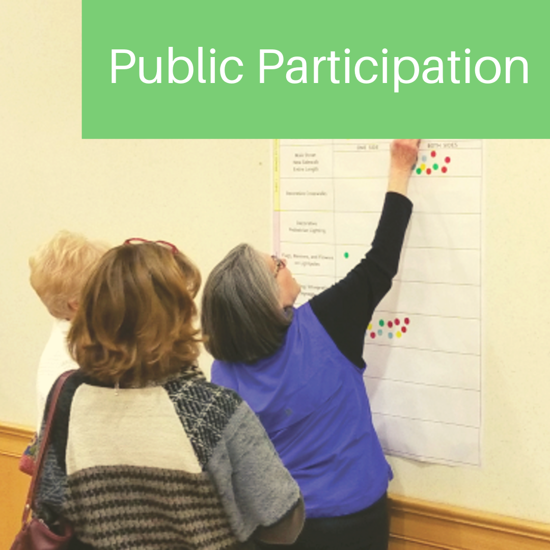 Public Participation